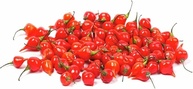 Pimenta Biquinho em Conserva Granel 500g - imagem 1