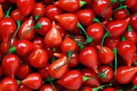 Pimenta Biquinho Vermelha em Conserva 350g - Fogo Mineiro - imagem 2