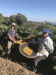 birroem-graos-cafe-especial-familia-produzido-87-em-cafe-pontos-250g