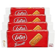 biscoff-belgas-biscoitos-deliciosos-lotus-128