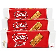 biscoitos-irresistiveis-belgas-96-biscoff-lotus