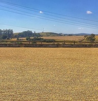 blend-e-tucano-torrado-tucano-premium-moido-black-black-coffee-especial-cafe-250g