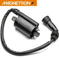 Bobina de Ignição Yes 125/Intruder 125 Magnetron - imagem 1