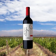 Gran Bodega Vinho Bonarda - imagem 3