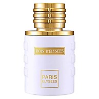 Bois D'elysees: O Perfume Masculino que Exala Sofisticação - imagem 1
