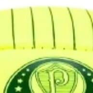 Bola Palmeiras Semi Profissional PVC - Alta Performance - imagem 1