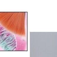 Kit Pincéis Unha: 20 Pincéis + Boleadores 💅 - imagem 1