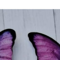 Borboletas Lilás/Roxo 5cm: 30 Unidades para Bolo! - imagem 2