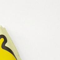 Bolsa Neoprene Garrafa 750ml: Proteção e Estilo - imagem 1