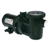 Bomba Piscina 3/4 CV Dancor PF-17: Potência e Durabilidade - imagem 1