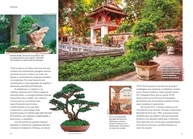 bonsai-visual-da-almanaque-completo-arte-guia-o-natureza-a