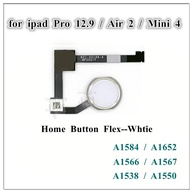 Botão Home iPad: Flexível e Reparo - imagem 4