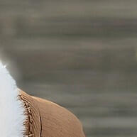 botas-de-neve-conforto-e-calor-no-inverno