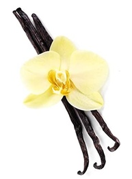 Fava De Baunilha Bourbon De Madagascar 2Gr - imagem 2