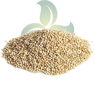 Quinoa Quinua Branca em Grãos Peruana 500g Wenutri - imagem 3