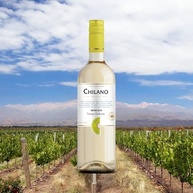 Vinho Chileno Branco Chilano Moscato 750ml - imagem 3