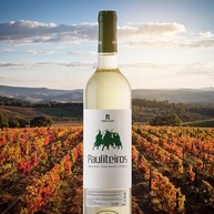 branco-portugues-750ml-pauliteiros-vinho