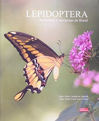 Lepidoptera: Descubra as Borboletas e Mariposas do Brasil em Detalhes - imagem 2