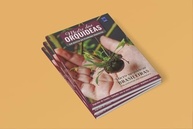 brasileiras-17-mestre-orquideas-orquideas-de-vol-a-guia-micro-das-completo-a