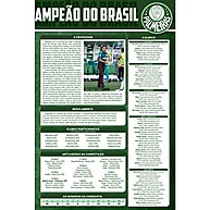 brasileiro-pentacampeonato-do-oficial-poster-2016-palmeiras-colecao