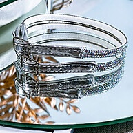 brilho-e-elegancia-strass-de-tornozeleira