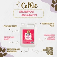 Shampoo Morango Collie 5L: Limpeza Vegana e Brilho! - imagem 2