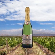 Casa Perini Espumante Brut 750 Ml - imagem 4