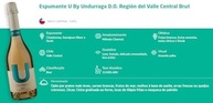 brut-del-u-espumante-by-undurraga-doregion-central-valle-espumante-750-ml-chileno-vinho
