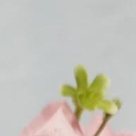 Buque de Rosas: Elegância e Beleza para Sua Decoração - imagem 1