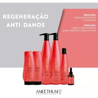 Restore System Aneethun: Revitalize Seus Cabelos! - imagem 2