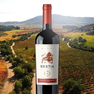 Vinho Tinto Chileno Bestia Collection Cabernet Sauvignon 750ml - imagem 3