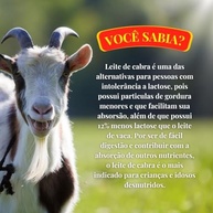 Leite De Cabra Em Pó Integral Caprilat 200g - imagem 3