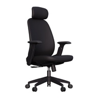 Cadeira Ergonômica Belena com Encosto Mesh, Apoio Lombar e Braços 3D – Conforto Premium para Home Office - imagem 1