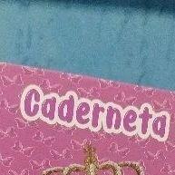 Caderneta de Saúde da Criança + Cartão SUS: Tudo em Um! - imagem 1