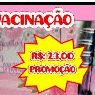 Caderneta Ursinhos: Nome Personalizado! - imagem 1