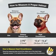 Capacete para Cães com Óculos Anti-UV e Viseira Pop-Up: Aventura Segura e Estilosa! - imagem 4