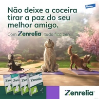 Zenrelia 6,4mg: Alívio Rápido da Coceira em Cães - imagem 2