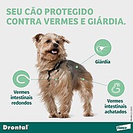 Drontal Plus: Vermífugo Sabor Carne para Cães - imagem 2