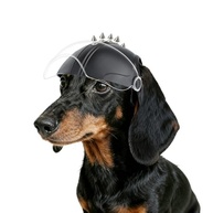 Capacete Namsan para Cães Pequenos: Segurança e Estilo com Óculos Integrados - imagem 2