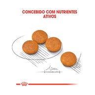 Royal Canin Dermacomfort Mini: Alívio e Nutrição para Cães - imagem 2