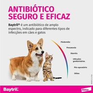 Baytril Flavour 150mg: Antibiótico Palatável para Cães - imagem 2
