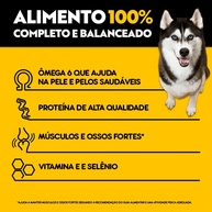 Pedigree High Protein Sachê: Nutrição Premium para Cães! - imagem 2