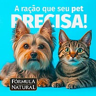 Ração Sênior Fresh Meat: Saúde e Sabor para Cães! - imagem 2
