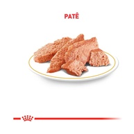 Royal Canin Urinary S/O: Saúde Urinária para Cães - imagem 2