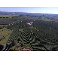 cafe-organico-intenso-tucano-sabor-graos-black-250g