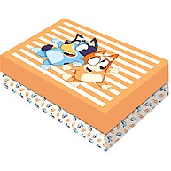 Caixa Bluey M: Presenteie com Encanto! - imagem 1