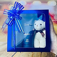 Caixa com Visor Azul: Perfeita para Presentes! - imagem 1