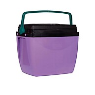 Caixa Térmica 18L: Leve a Diversão Gelada! - imagem 1