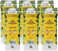 Kit 6X: Bebida Vegetal Caju + Pará A Tal da Castanha 1L - imagem 1