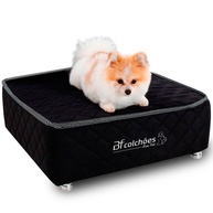 Cama Box Pet Luxo: Conforto e Estilo! - imagem 1